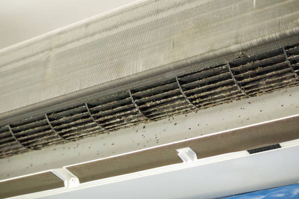 Best Professional Duct Cleaning Services  in Fairwood, WA
